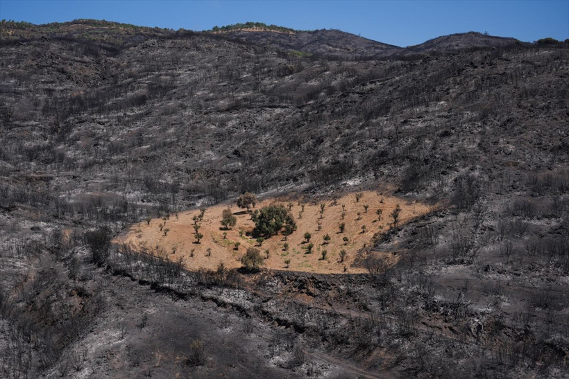 İzmir Ödemiş’te şaşkına çeviren görüntü! Sadece orası yanmadı! - Resim: 2