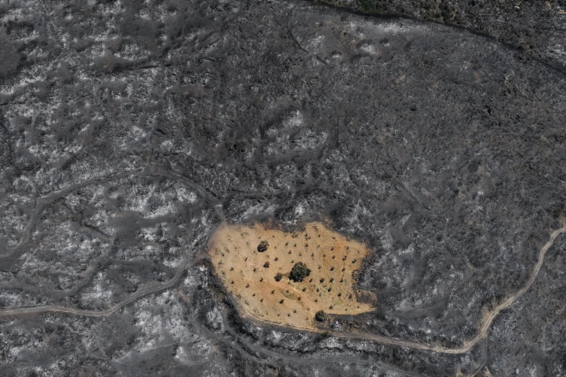 İzmir Ödemiş’te şaşkına çeviren görüntü! Sadece orası yanmadı! - Resim: 4