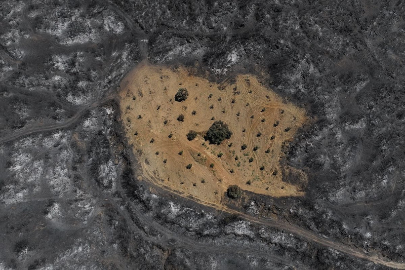 İzmir Ödemiş’te şaşkına çeviren görüntü! Sadece orası yanmadı! - Resim: 3