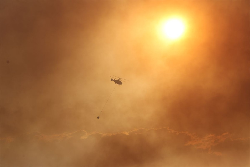 Ciğerlerimiz yanmaya devam ediyor! 2 bölgede orman yangını - Resim: 2