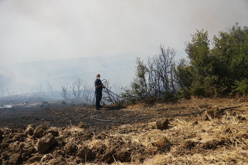 Tekirdağ'da anız yangını paniği: Alevler ormana sıçradı - Resim: 3