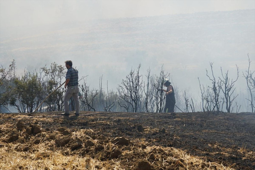 Tekirdağ'da anız yangını paniği: Alevler ormana sıçradı - Resim: 4