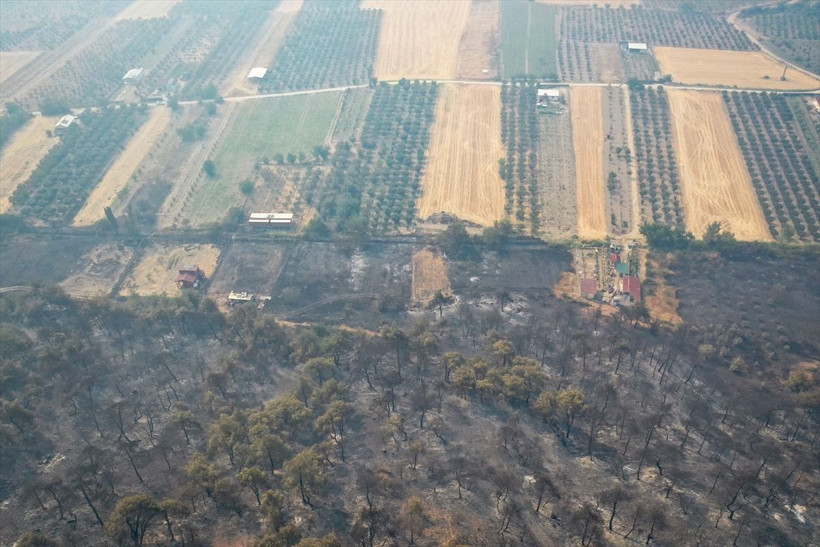 Yangın 4 gündür devam ediyor! Rüzgar alevleri yeniden büyüttü, yol ulaşıma kapatıldı - Resim: 2