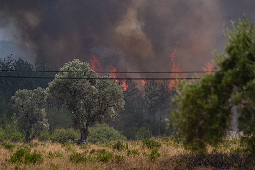 İzmir yanıyor! Alevler çok şiddetli, Bornova'daki yangın Buca'ya sıçradı - Resim: 3