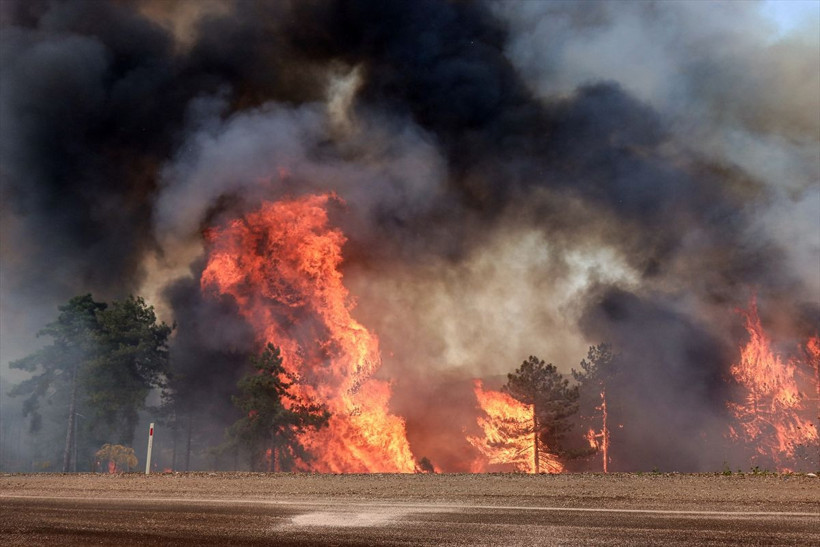 Bursa'daki yangın çok kötü Orhaneli ile Harmancık ilçesi artık görünmüyor - Resim: 2