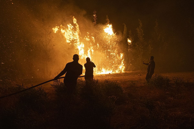 Çanakkale'de orman yangını felaketi 2 bin 90 kişi tahliye edildi 1 köy boşaltıldı 77 kişi ise... - Resim: 4