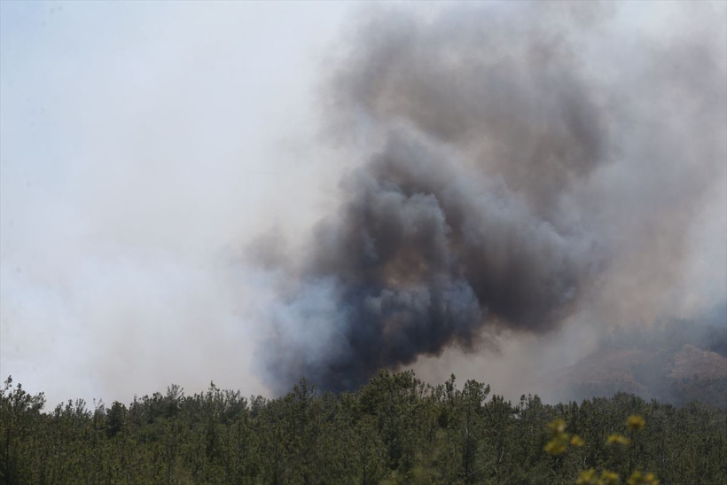 Çanakkale'de orman yangını çıktı! Rüzgar çok fena alevler köylere ilerliyor - Resim: 1