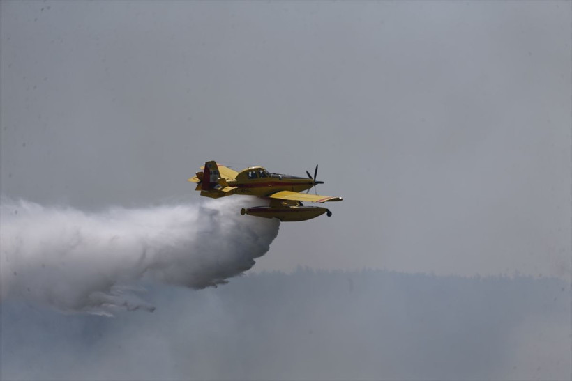 Çanakkale'de orman yangını çıktı! Rüzgar çok fena alevler köylere ilerliyor - Resim: 4