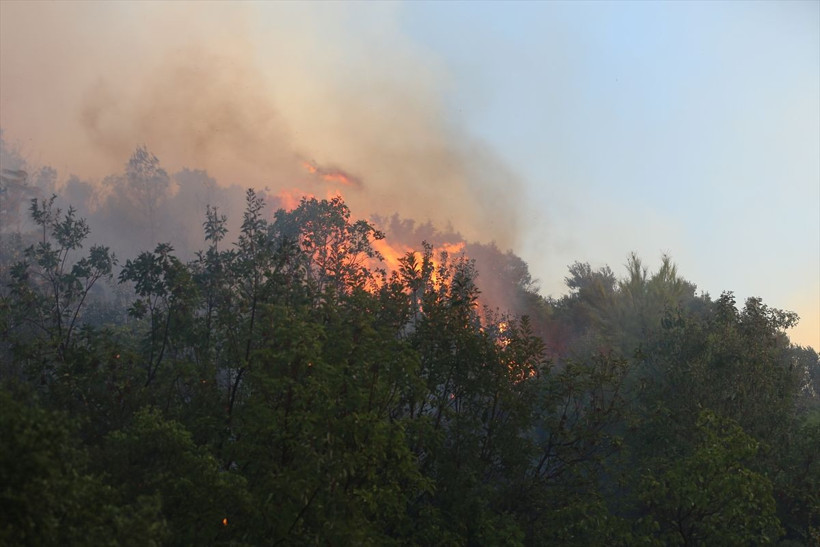 Alanya'da orman yangını büyüyor villalar, seralar evler tahliyeler başladı - Resim: 1
