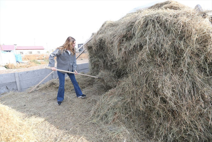İstanbul'dan sıkıldı köyüne dönüp hayvancılığa başladı! 3 yılda sürüsünü 4'e katladı şimdiki hedefi... - Resim: 1