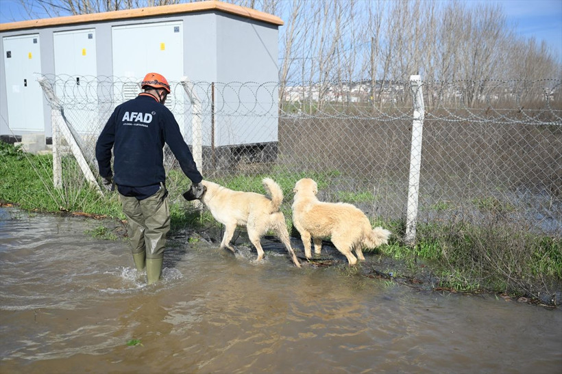"Kırmızı" uyarı koduyla izleniyordu! Meriç Nehri'nin debisi giderek artıyor - Resim: 1