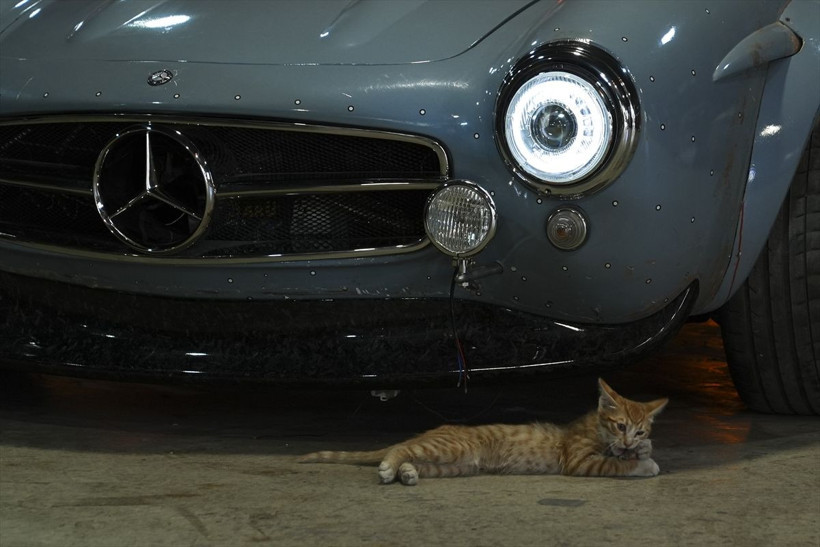 1954 model otomobile müthiş dokunuş! Yollara çıkmaya hazırlanıyor her detayı dikkat çekiyor - Resim: 8