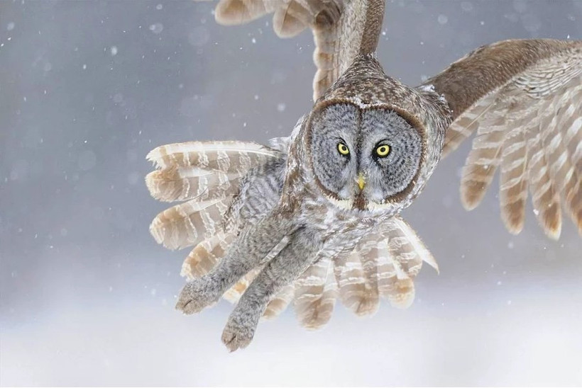Tam zamanında çekilmiş fotoğraflar - Resim: 1