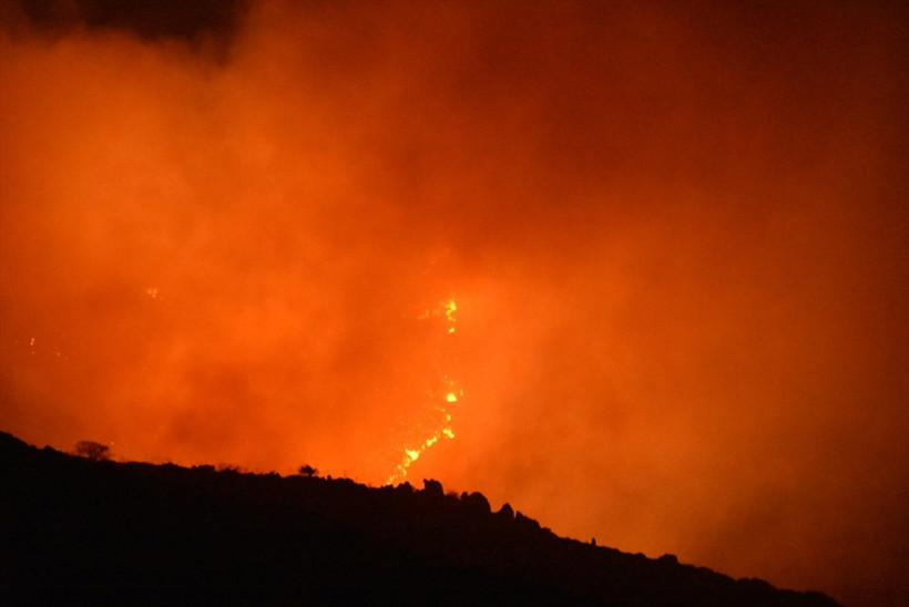 Bodrum'daki yangın saatlerdir söndürülemedi! - Resim: 2