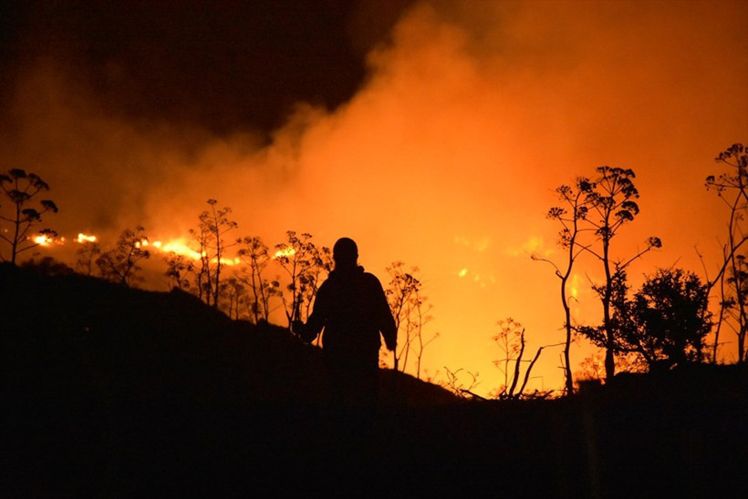 Bodrum'daki yangın saatlerdir söndürülemedi! - Resim: 4