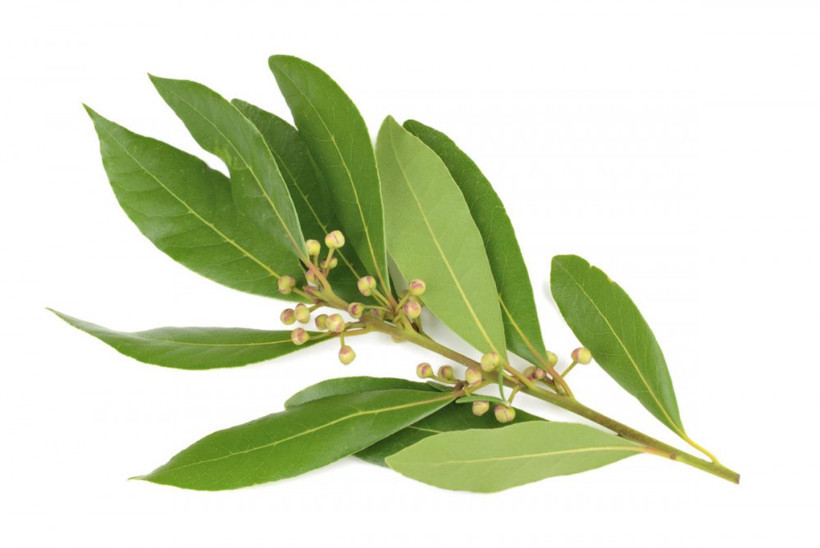 Yeni yılda bolluk bereket için neler yapılıyor! - Resim: 4