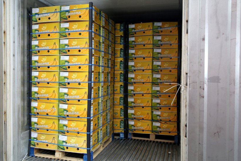 Dev operasyonun detayları ortaya çıktı: Adım adım takip! - Resim: 3