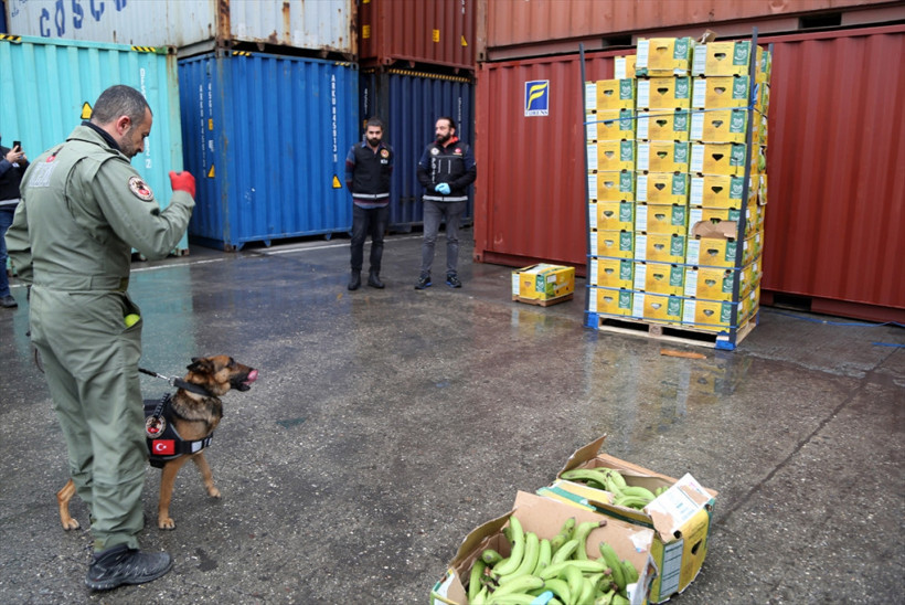 Dev operasyonun detayları ortaya çıktı: Adım adım takip! - Resim: 4