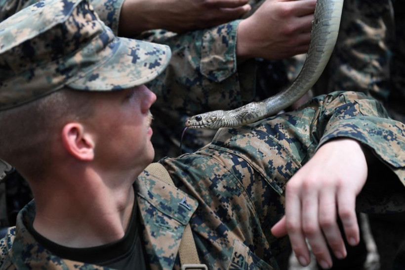 Kobra, kurbağa, akrep! Cobra Gold tatbikatından mide bulandıran görüntüler - Resim: 3