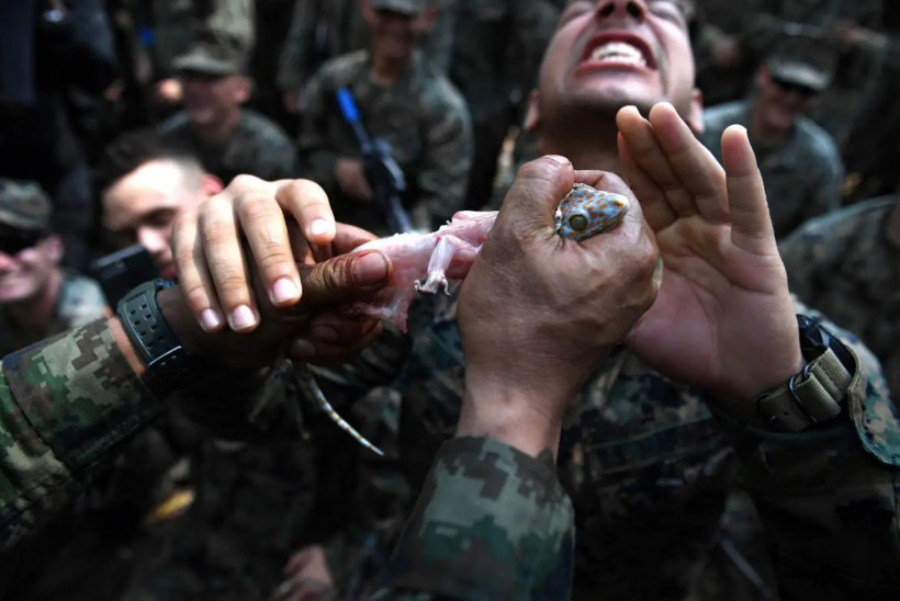 Kobra, kurbağa, akrep! Cobra Gold tatbikatından mide bulandıran görüntüler - Resim: 2