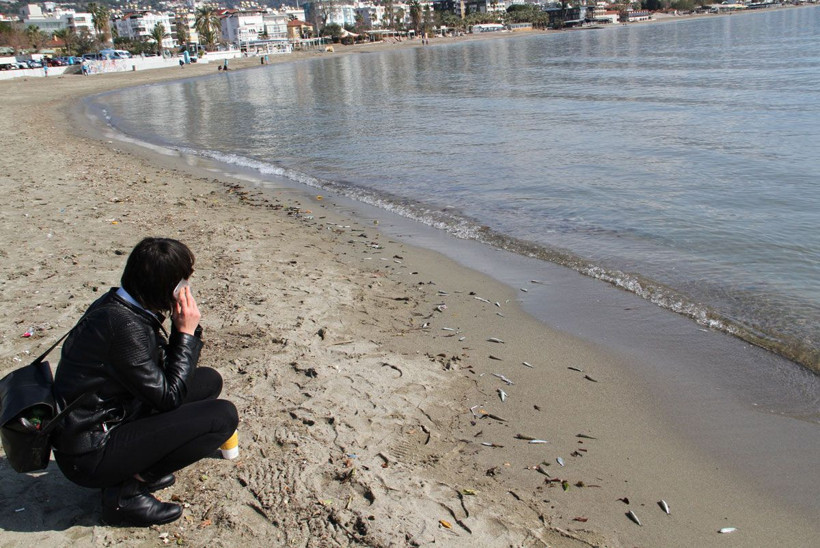 Alanyalılar diken üstünde on binlercesi birden sahile vurdu - Resim: 4