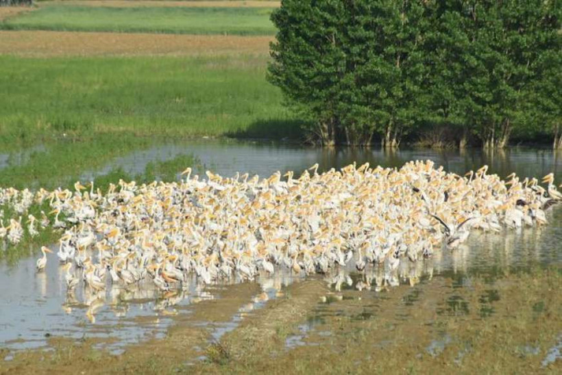 Gören cep telefonuna sarıldı - Resim: 1