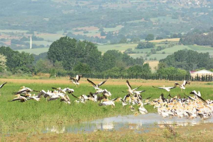 Gören cep telefonuna sarıldı - Resim: 3