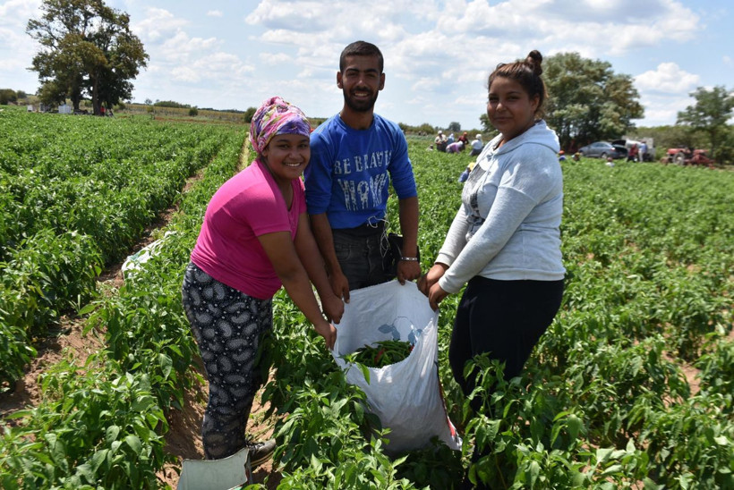 Edirne tava ciğerinin olmazsa olmazı! Yılda 60 ton tüketiliyor - Resim: 1