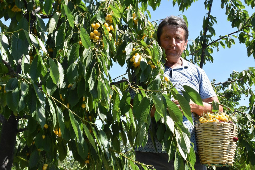 Askerdi emekli oldu serasını kurdu geliştirdiği sistemle kazancını ikiye katladı - Resim: 4