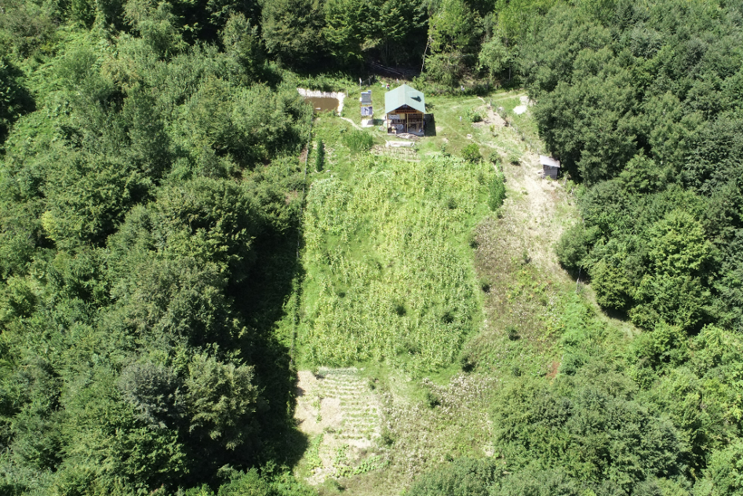 Astsubaylık yapıyordu! İşi bıraktı yerli tohumları topladı bunu yapıyor - Resim: 1