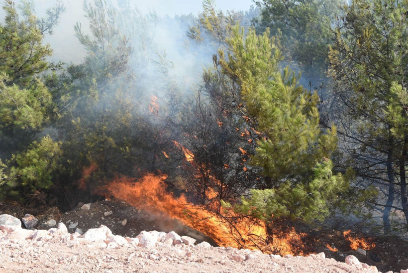 İzmir Buca'da yanan samanların alevi ormana sıçradı - Resim: 1