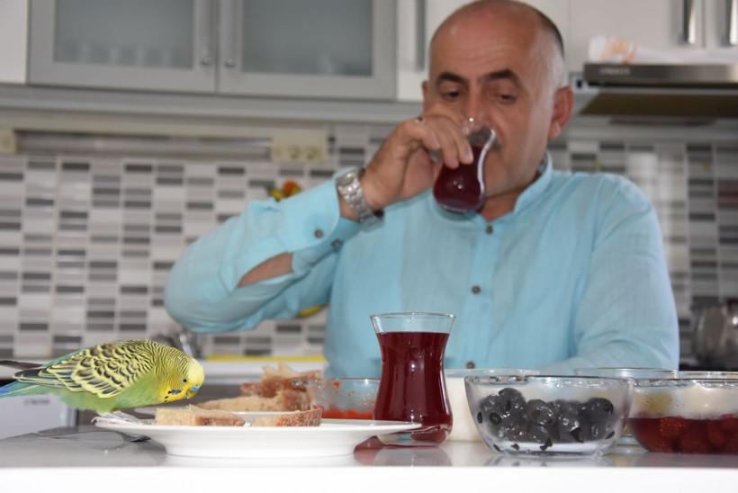 Muhabbet kuşunun Recep Tayyip Erdoğan aşkı! Bildiği kelimeler şaşkına çevirdi - Resim: 2