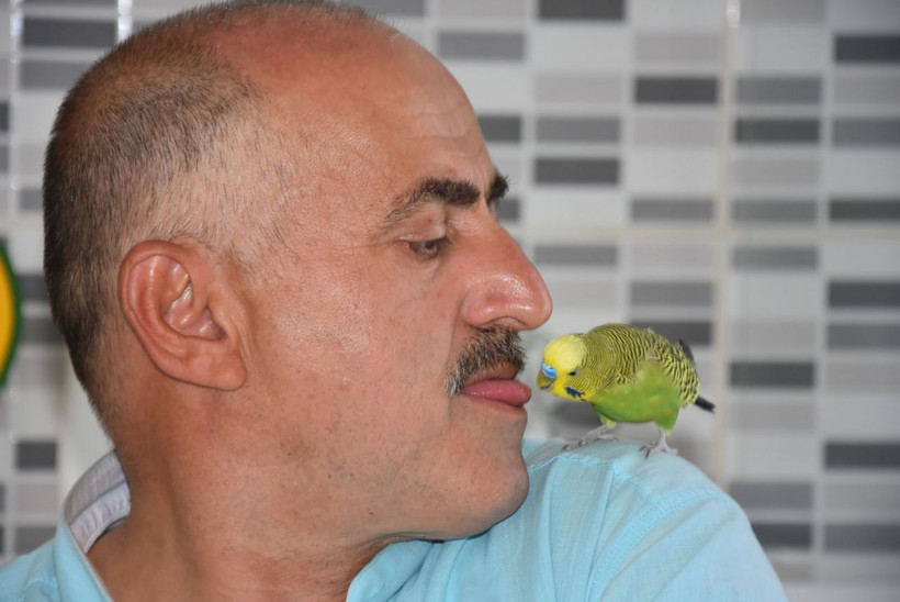 Muhabbet kuşunun Recep Tayyip Erdoğan aşkı! Bildiği kelimeler şaşkına çevirdi - Resim: 1