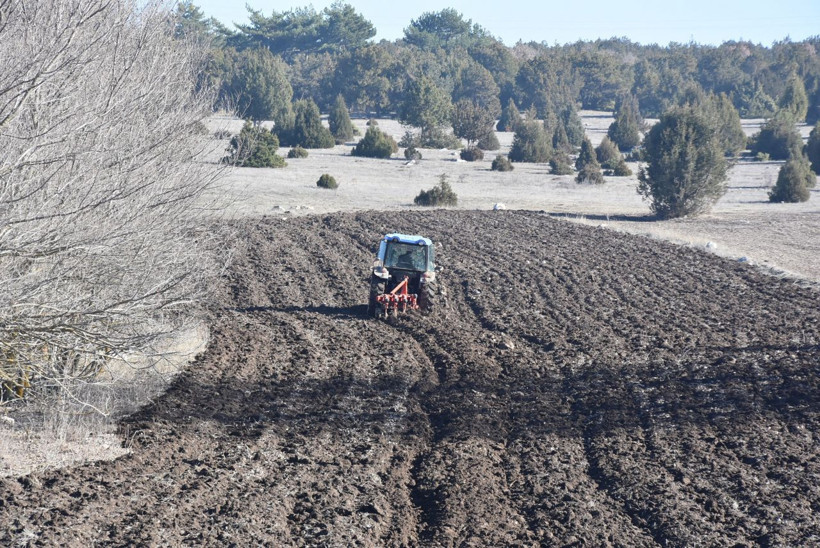 Kütahyalı çiftçi tarlasını sürerken pulluğuna takıldı yetkililer bölgeyi inceleme aldı - Resim: 1
