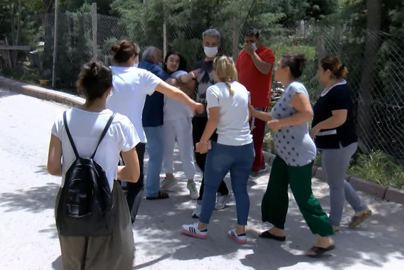 Ankara'da köpek besliyor diye kadına soğan patatesle saldırdılar - Resim: 4