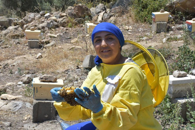 İzmir Seferihisar'da üretiyor yeni sezon siparişleri dolmak üzere tanesini 100 liradan satıyor - Resim: 1