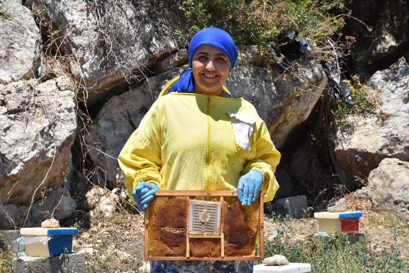 İzmir Seferihisar'da üretiyor yeni sezon siparişleri dolmak üzere tanesini 100 liradan satıyor - Resim: 4