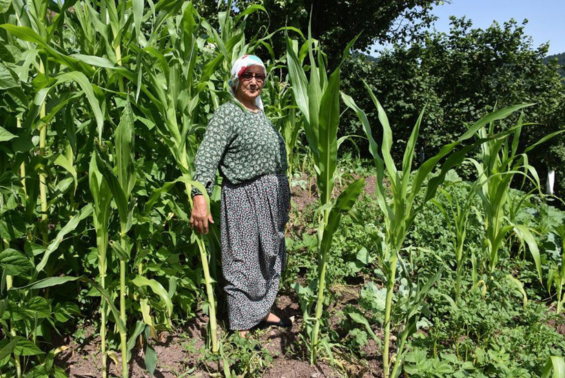 Mahalleli tedirgin akşamları dışarı çıkarken saldırırlar diye korkuyorlar - Resim: 1