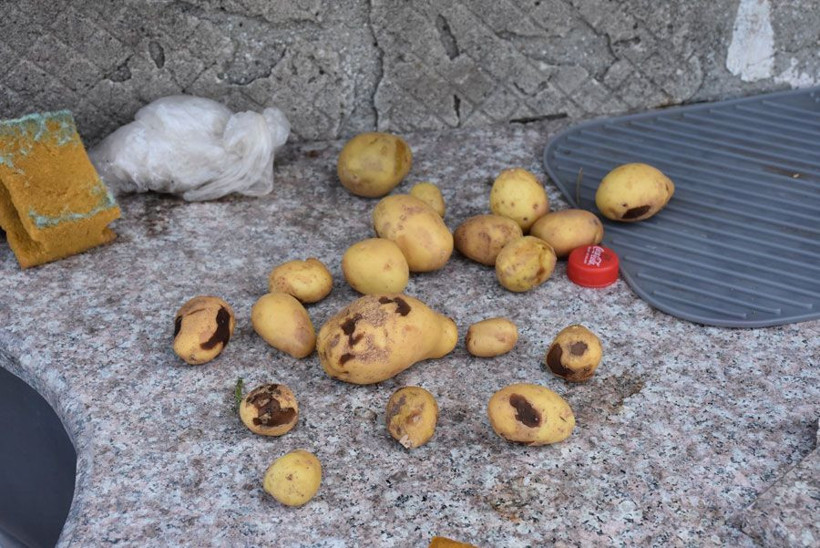 Mahalleli tedirgin akşamları dışarı çıkarken saldırırlar diye korkuyorlar - Resim: 2