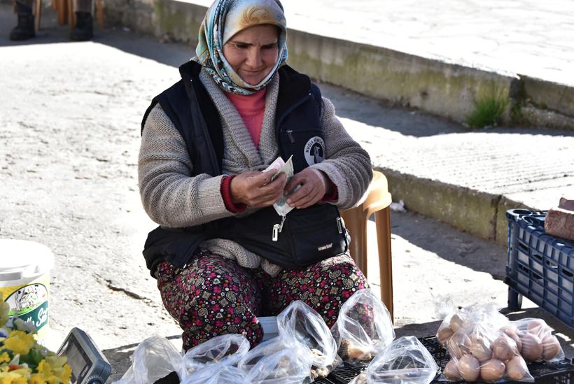 Muğla'da toplanmaya başlandı! Şifa kaynağı kuzugöbeğinin fiyatı dudak uçuklattı - Resim: 3