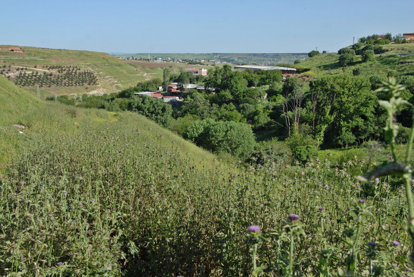 Afrika'dan Diyarbakır'a olağanüstü göç 6 nesil süren yolculukları bitti! - Resim: 2