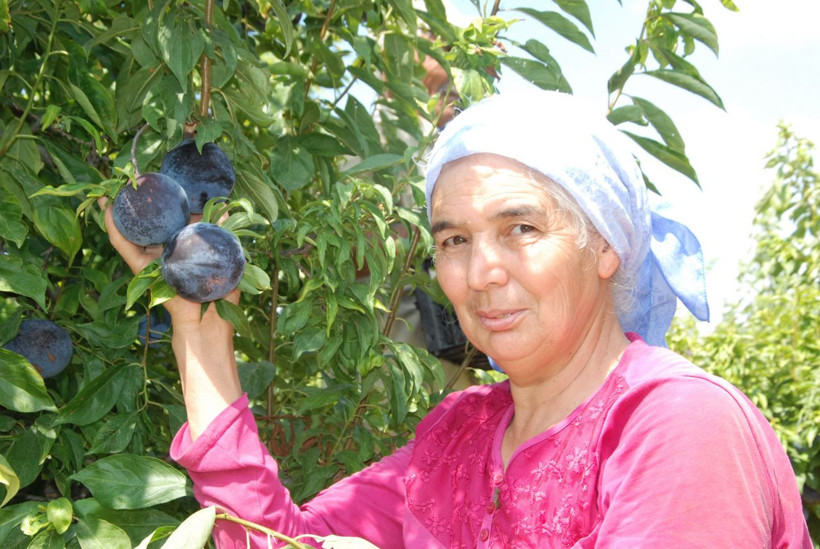 Hobi olarak başladı inanılmaz verim aldı - Resim: 3