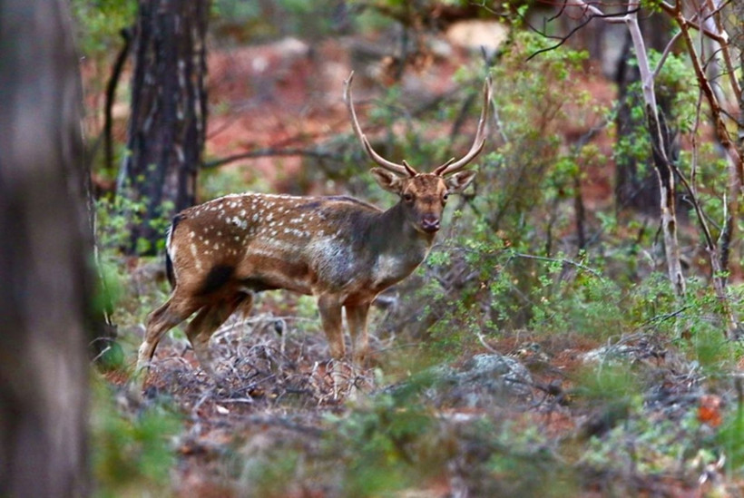 Antalyalı vatandaşlara önemli uyarı bölgeden uzak durulması isteniyor! - Resim: 4
