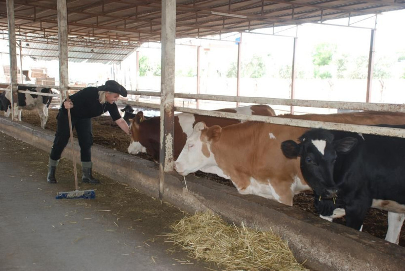 Hostesliği bıraktı İzmir'de çiftlik kurdu şimdi inek sağıp ahır temizliyor - Resim: 3