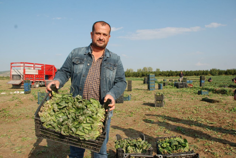 Zehirli ıspanak panik yarattı! Müşteri almıyor pazarcı satamıyor! Üreticiyi vurdu - Resim: 1