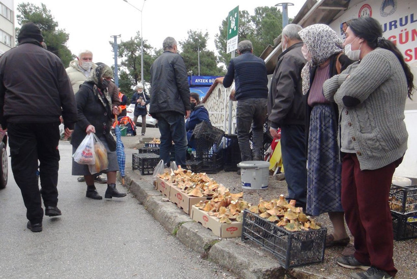 Fiyatını duyan ormana koştu! Muğla'da toplayanlar paraya para demiyor - Resim: 3