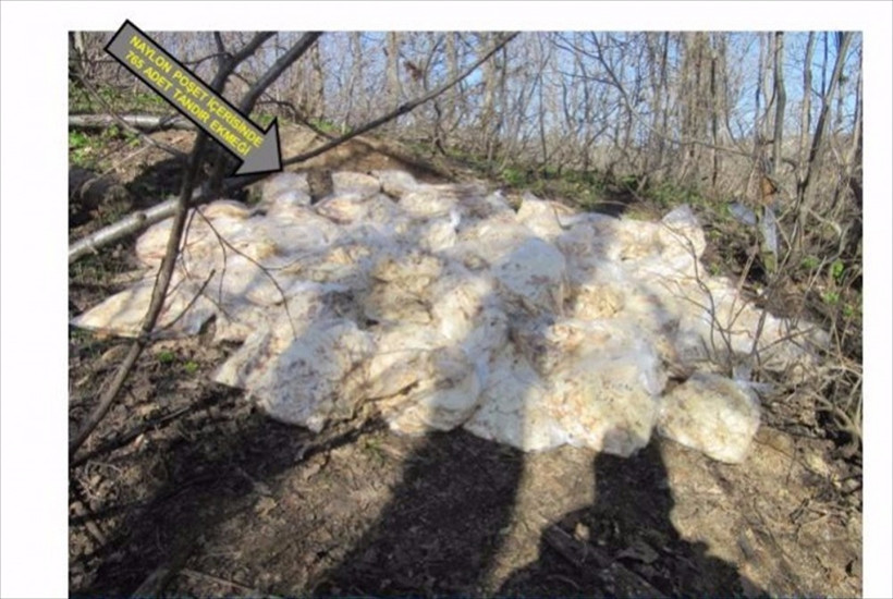 Bingöl'deki operasyonda tüyler ürperten görüntü! - Resim: 2