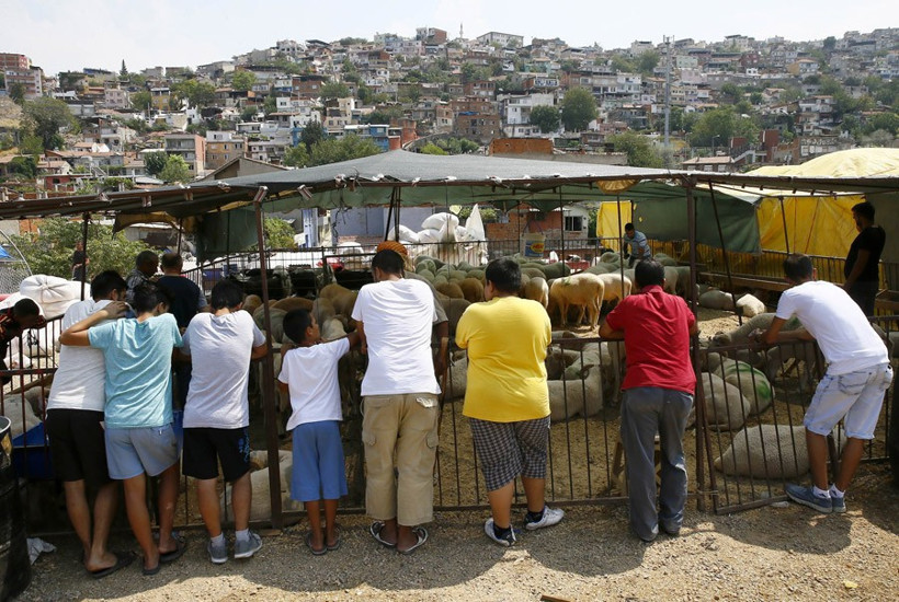 Kurbanlık fiyatları ne kadar 2016 rakamlarına bakın! - Resim: 3