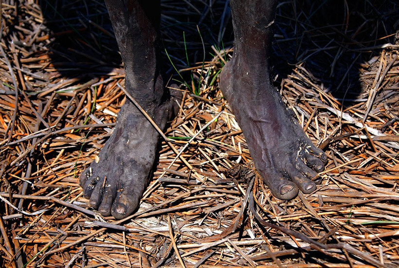 Timsahları kızartıp yiyorlar! Onları daha önce böyle görmediniz - Resim: 1