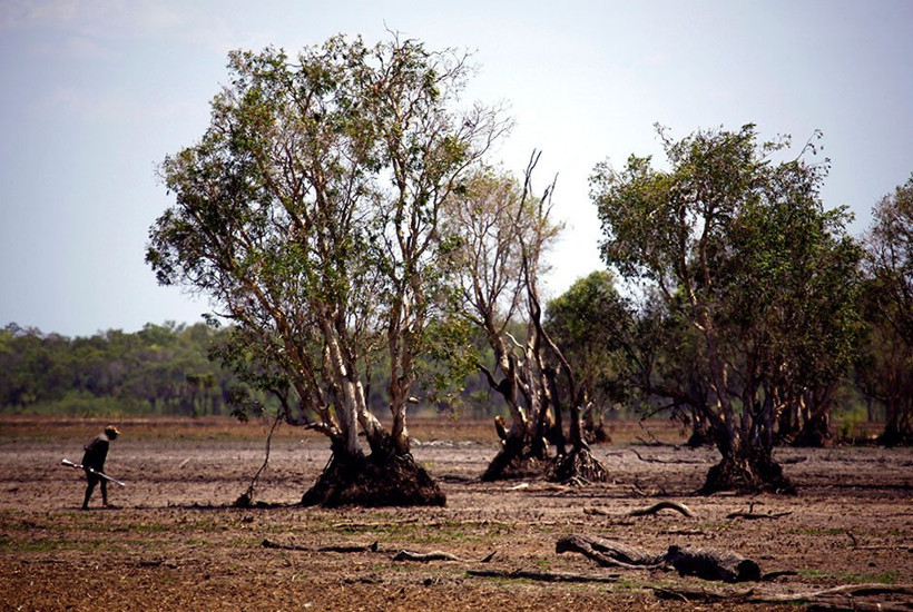 Timsahları kızartıp yiyorlar! Onları daha önce böyle görmediniz - Resim: 3